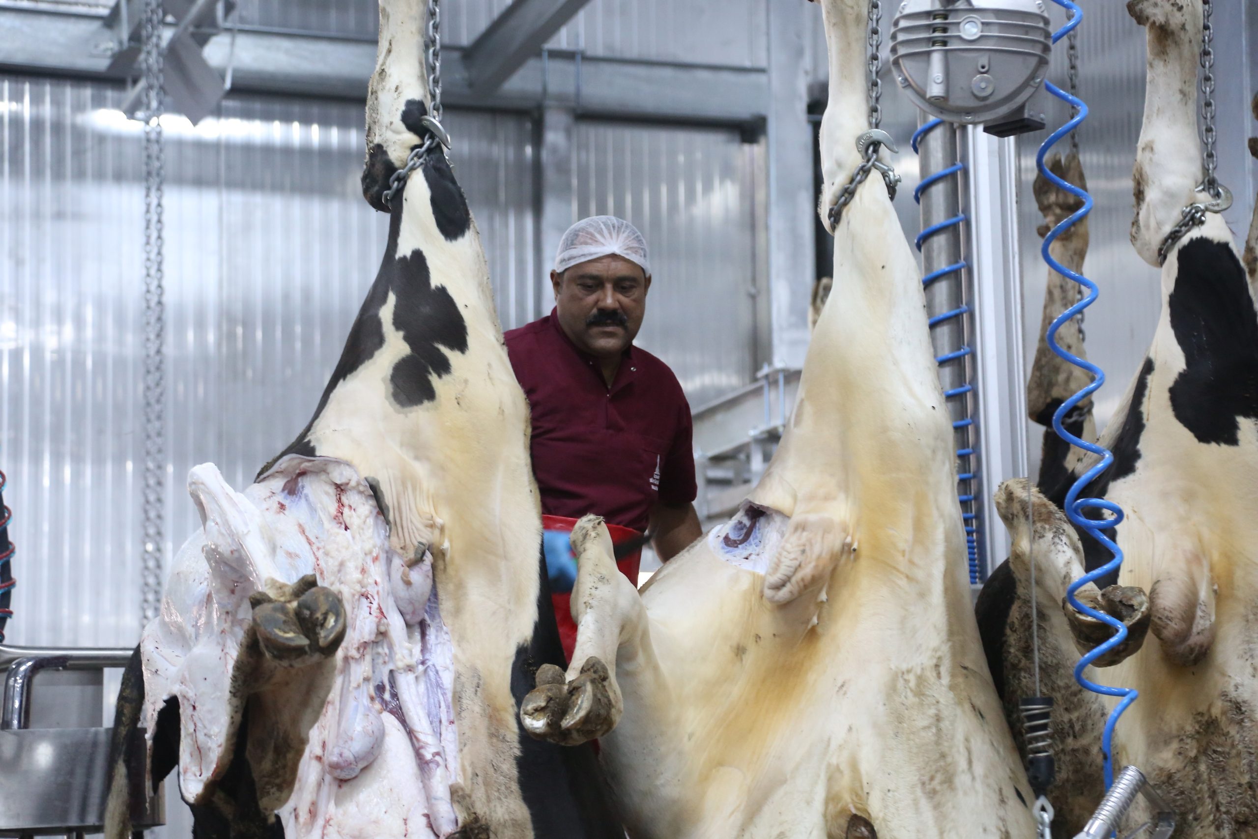 Pre-dehiding Platform